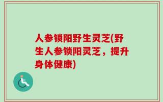 人参锁阳野生灵芝(野生人参锁阳灵芝，提升身体健康)