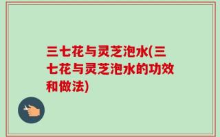 三七花与灵芝泡水(三七花与灵芝泡水的功效和做法)