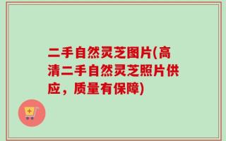 二手自然灵芝图片(高清二手自然灵芝照片供应，质量有保障)