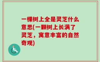 一棵树上全是灵芝什么意思(一颗树上长满了灵芝，寓意丰富的自然奇观)