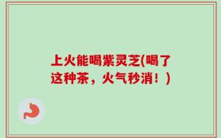 上火能喝紫灵芝(喝了这种茶，火气秒消！)