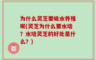 为什么灵芝要吸水养殖呢(灵芝为什么要水培？水培灵芝的好处是什么？)