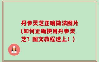 丹参灵芝正确做法图片(如何正确使用丹参灵芝？图文教程送上！)