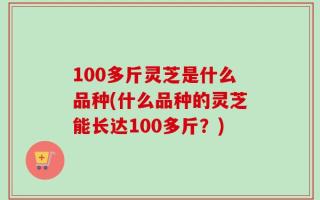 100多斤灵芝是什么品种(什么品种的灵芝能长达100多斤？)
