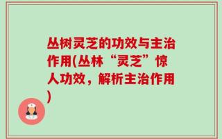 丛树灵芝的功效与主治作用(丛林“灵芝”惊人功效，解析主治作用)