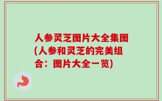 人参灵芝图片大全集图(人参和灵芝的完美组合：图片大全一览)