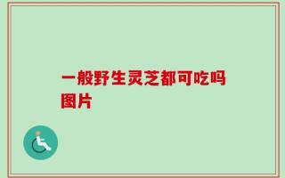 一般野生灵芝都可吃吗图片