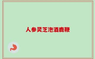 人参灵芝泡酒鹿鞭