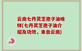 云南七丹灵芝孢子油啥样(七丹灵芝孢子油介绍及功效，来自云南)