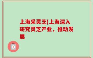 上海采灵芝(上海深入研究灵芝产业，推动发展