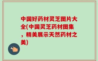 中国好药材灵芝图片大全(中国灵芝药材图集，精美展示天然药材之美)