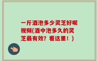 一斤酒泡多少灵芝好呢视频(酒中泡多久的灵芝最有效？看这里！)