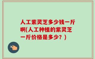 人工紫灵芝多少钱一斤啊(人工种植的紫灵芝一斤价格是多少？)
