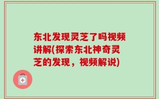 东北发现灵芝了吗视频讲解(探索东北神奇灵芝的发现，视频解说)