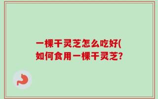 一棵干灵芝怎么吃好(如何食用一棵干灵芝？