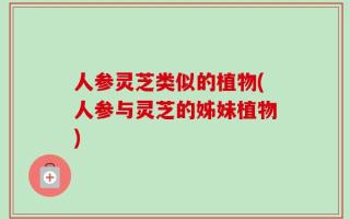 人参灵芝类似的植物(人参与灵芝的姊妹植物)