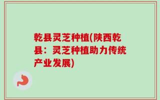 乾县灵芝种植(陕西乾县：灵芝种植助力传统产业发展)