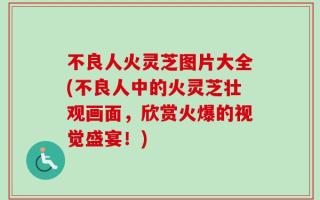 不良人火灵芝图片大全(不良人中的火灵芝壮观画面，欣赏火爆的视觉盛宴！)