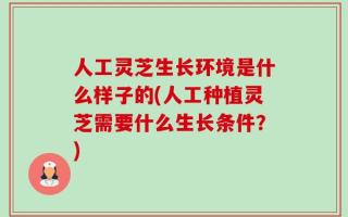 人工灵芝生长环境是什么样子的(人工种植灵芝需要什么生长条件？)