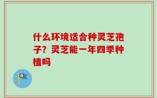 什么环境适合种灵芝孢子？灵芝能一年四季种植吗
