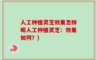 人工种植灵芝效果怎样呢人工种植灵芝：效果如何？)