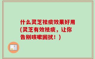 什么灵芝祛痰效果好用(灵芝有效祛痰，让你告别咳嗽困扰！)