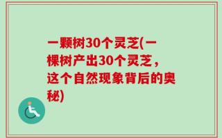 一颗树30个灵芝(一棵树产出30个灵芝，这个自然现象背后的奥秘)
