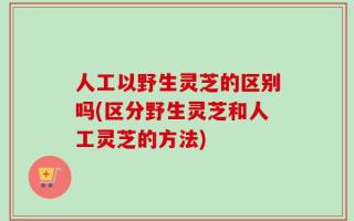 人工以野生灵芝的区别吗(区分野生灵芝和人工灵芝的方法)