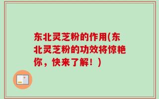 东北灵芝粉的作用(东北灵芝粉的功效将惊艳你，快来了解！)