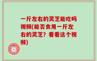一斤左右的灵芝能吃吗视频(能否食用一斤左右的灵芝？看看这个视频)