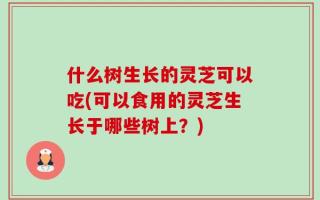 什么树生长的灵芝可以吃(可以食用的灵芝生长于哪些树上？)
