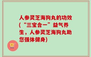 人参灵芝海狗丸的功效(“三宝合一”益气养生，人参灵芝海狗丸助您强体健身)