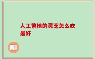 人工繁植的灵芝怎么吃最好
