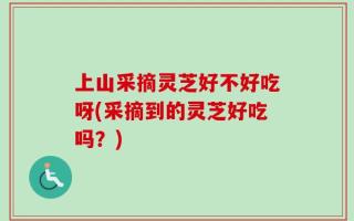 上山采摘灵芝好不好吃呀(采摘到的灵芝好吃吗？)