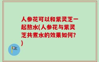 人参花可以和紫灵芝一起熬水(人参花与紫灵芝共煮水的效果如何？)