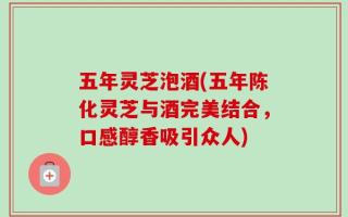 五年灵芝泡酒(五年陈化灵芝与酒完美结合，口感醇香吸引众人)