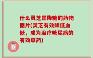 什么灵芝是降糖的药物图片(灵芝有效降低血糖，成为治疗糖尿病的有效草药)