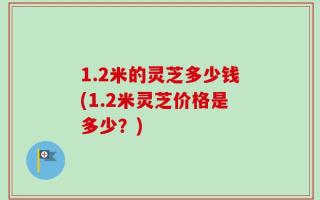 1.2米的灵芝多少钱(1.2米灵芝价格是多少？)