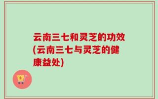 云南三七和灵芝的功效(云南三七与灵芝的健康益处)