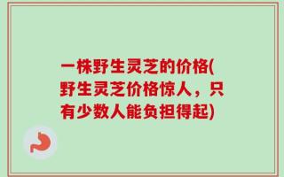 一株野生灵芝的价格(野生灵芝价格惊人，只有少数人能负担得起)