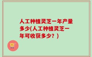 人工种植灵芝一年产量多少(人工种植灵芝一年可收获多少？)