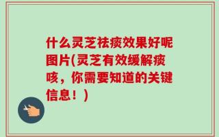 什么灵芝祛痰效果好呢图片(灵芝有效缓解痰咳，你需要知道的关键信息！)