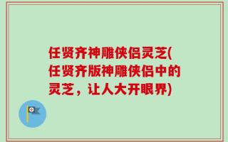 任贤齐神雕侠侣灵芝(任贤齐版神雕侠侣中的灵芝，让人大开眼界)