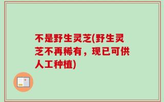 不是野生灵芝(野生灵芝不再稀有，现已可供人工种植)