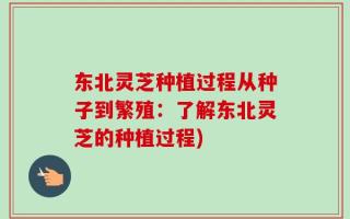 东北灵芝种植过程从种子到繁殖：了解东北灵芝的种植过程)