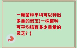 一颗菌种平均可以种出多重的灵芝(一株菌种可平均培育多少重量的灵芝？)