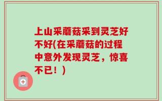 上山采蘑菇采到灵芝好不好(在采蘑菇的过程中意外发现灵芝，惊喜不已！)