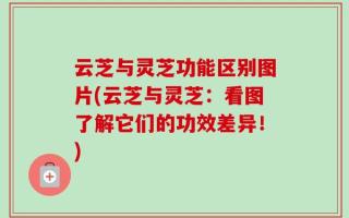 云芝与灵芝功能区别图片(云芝与灵芝：看图了解它们的功效差异！)