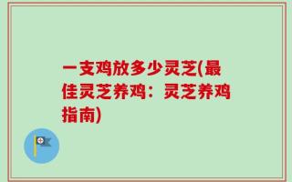 一支鸡放多少灵芝(最佳灵芝养鸡：灵芝养鸡指南)