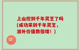 上山挖到千年灵芝了吗(成功采到千年灵芝，滋补价值数倍增！)